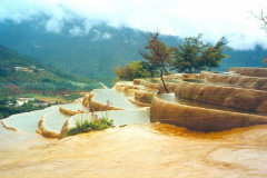 6848457_XXL 6848457_XXL