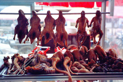 6848064_XXL 6848064_XXL