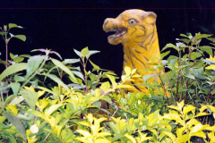 6848067_XXL 6848067_XXL