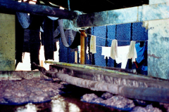 6848118_XXL 6848118_XXL