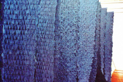 6848154_XXL 6848154_XXL