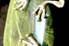 332769_XXL