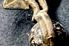 332808_XXL 332808_XXL