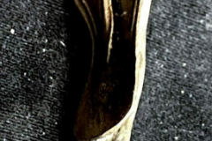 333009_XXL 333009_XXL