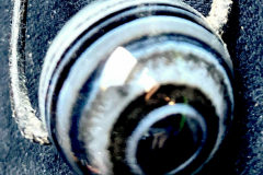 332772_XXL