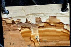 9755964_XXL 9755964_XXL