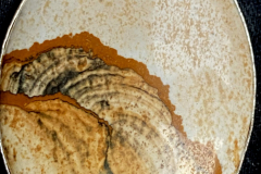 9756054_XXL 9756054_XXL