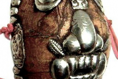 as1336nepal-schildkroete-2