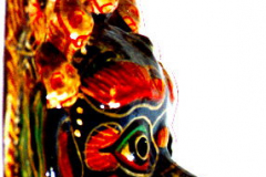 as188-bhaktapur-newar-schwein-varahi