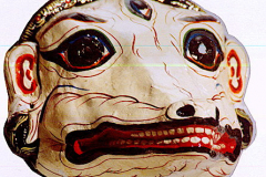 as263tibet-wolf-weiss