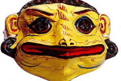 as264frosch-tibet