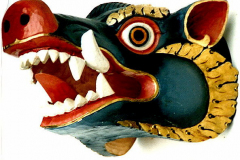 as33bhutanschwein-b