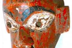 as44nepalaffe-rajbansi-terai