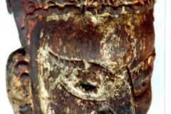 as69arunachal-pradesh-sherdukpen