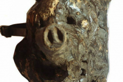 5853267_XXL