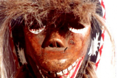 am107yaqui-affe-pascola