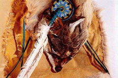 am425navajo-calling-bear-woman
