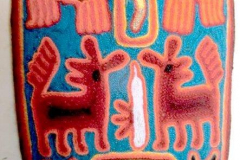 am720huichol-1